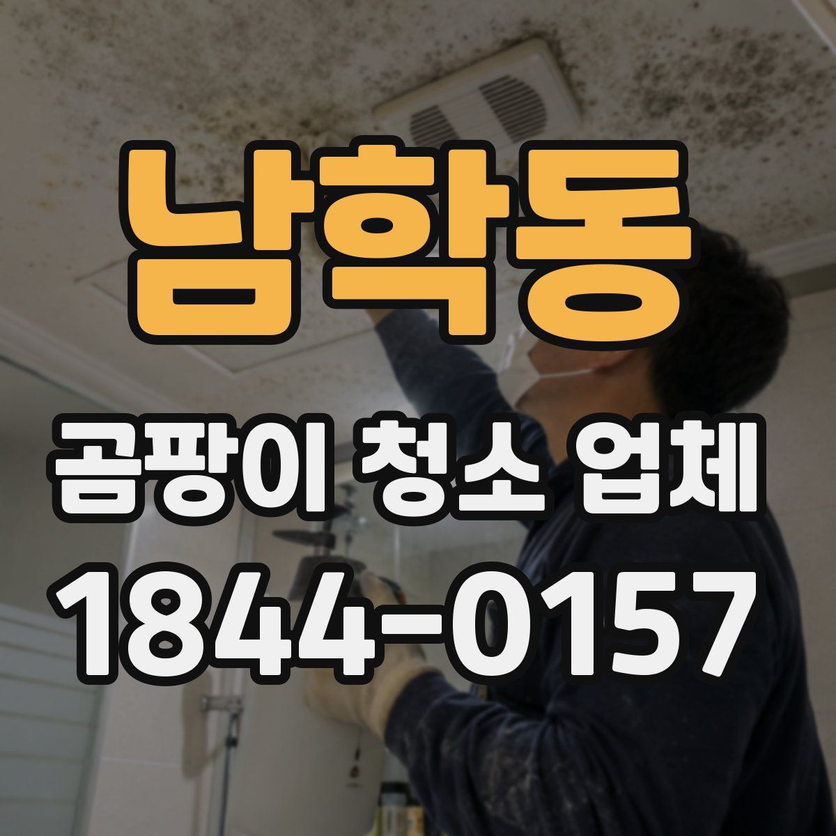 남학동 곰팡이 청소 업체