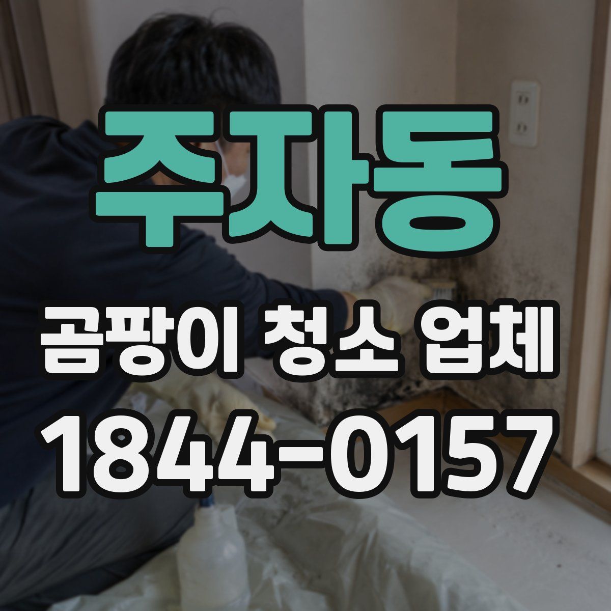주자동 곰팡이 청소 업체