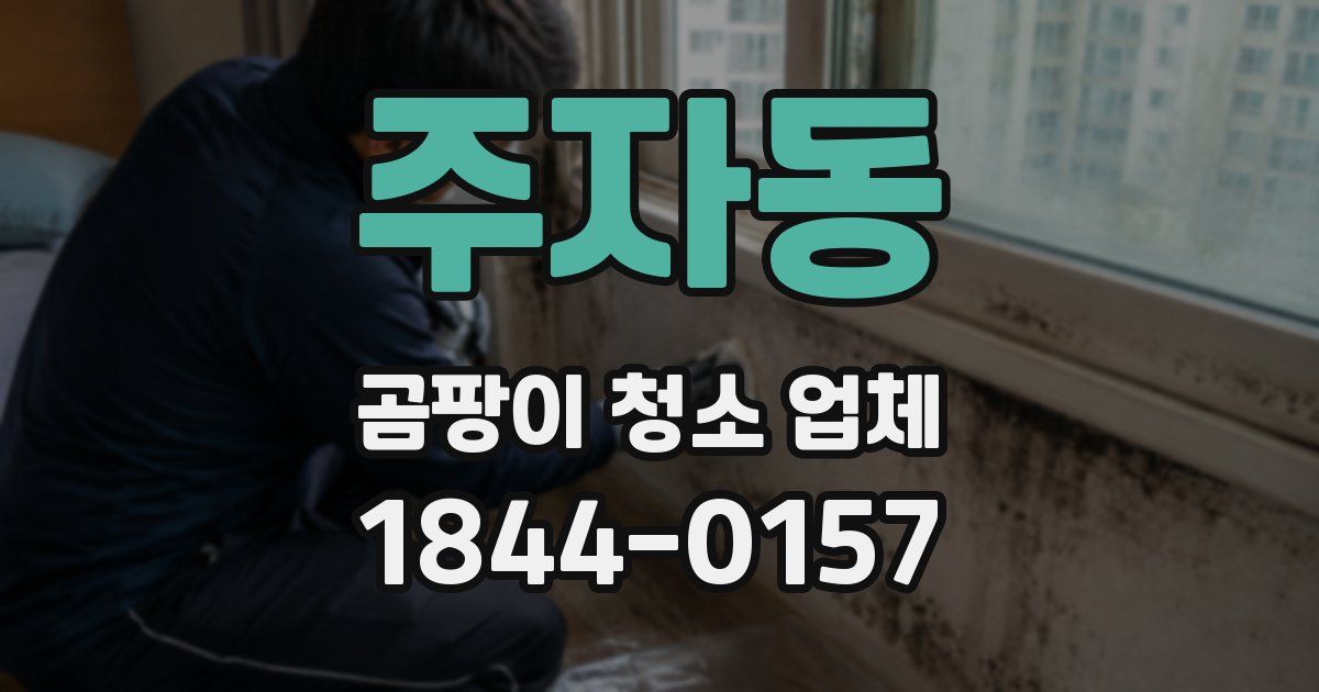 주자동 곰팡이 청소 업체
