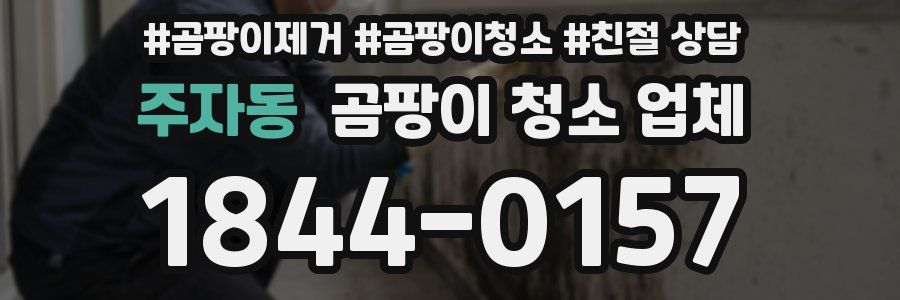 주자동 곰팡이 청소 업체