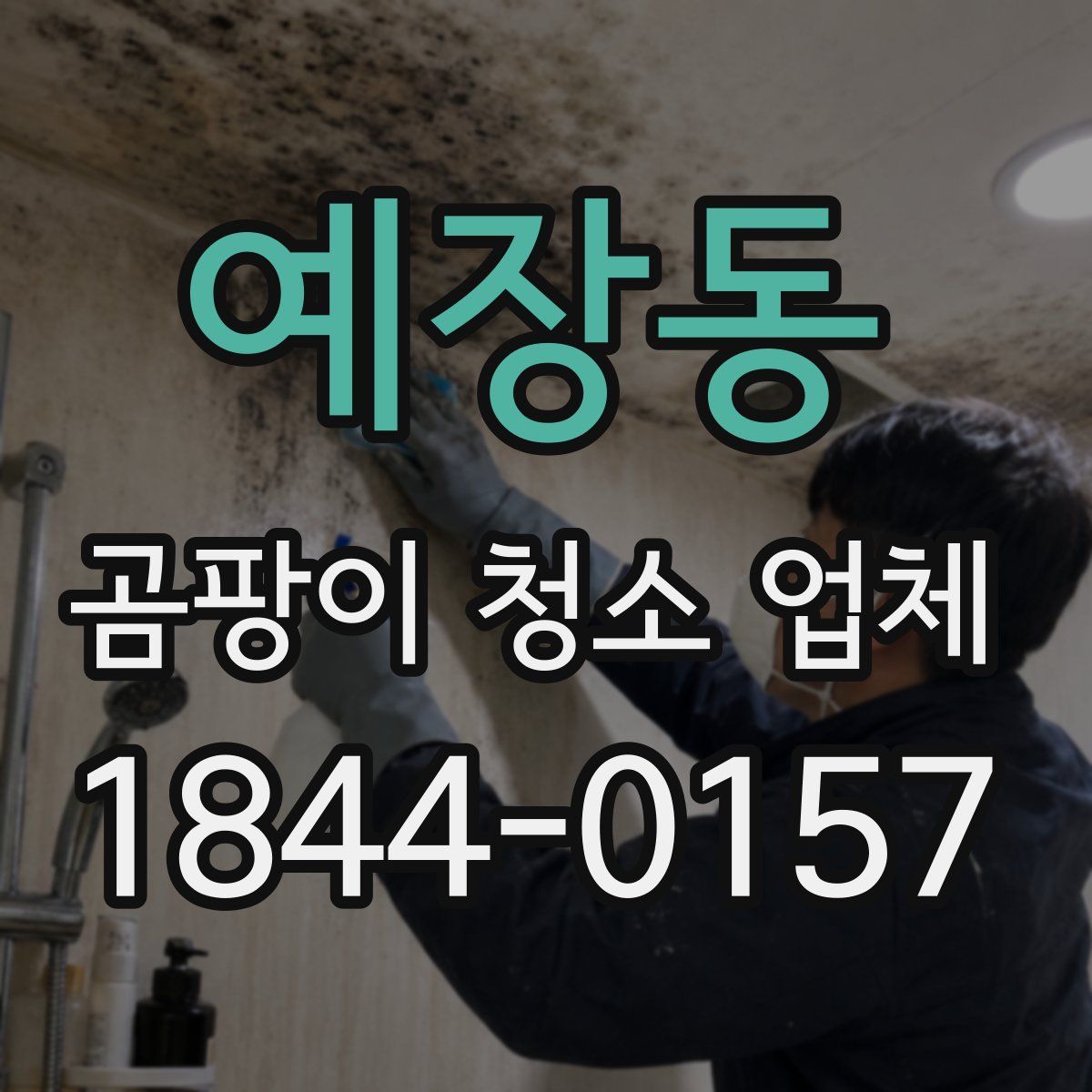 예장동 곰팡이 청소 업체