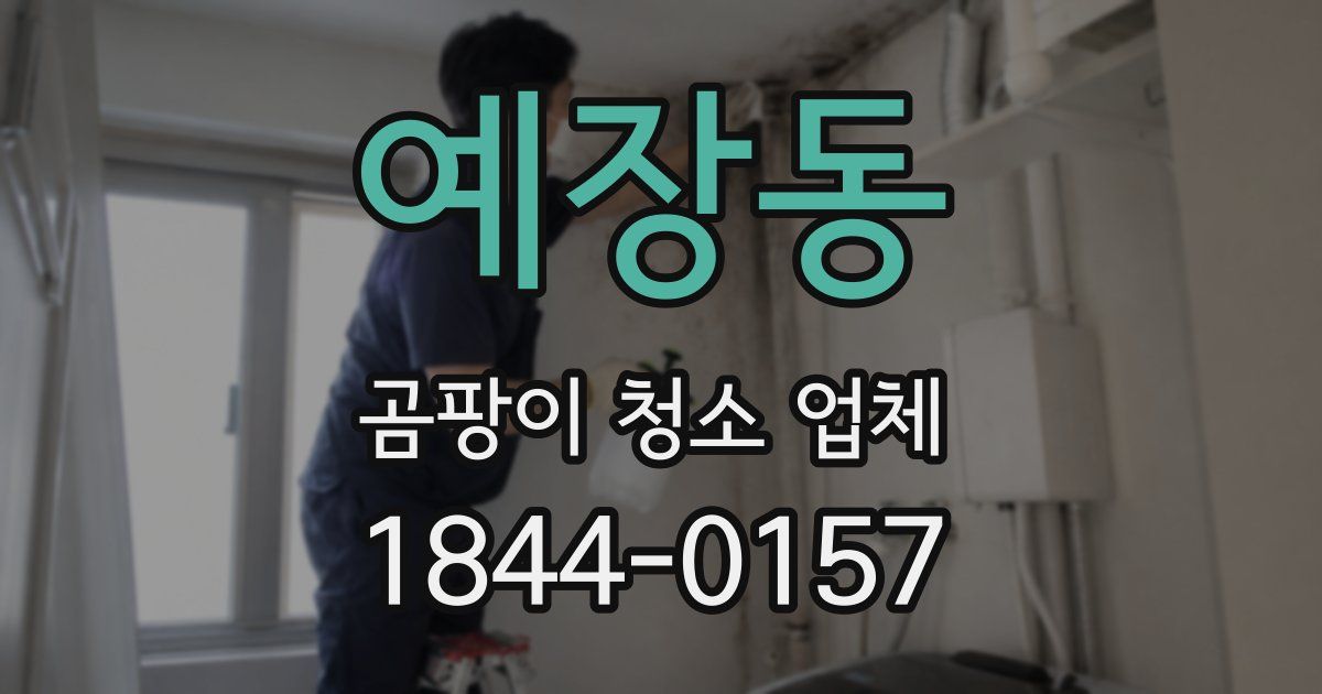 예장동 곰팡이 청소 업체