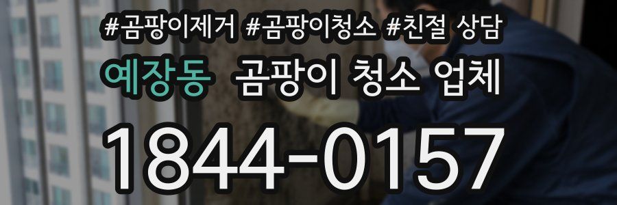 예장동 곰팡이 청소 업체