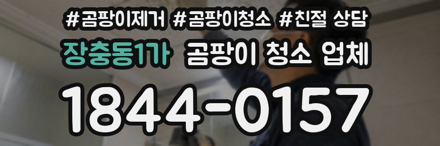 장충동1가 곰팡이 청소 업체