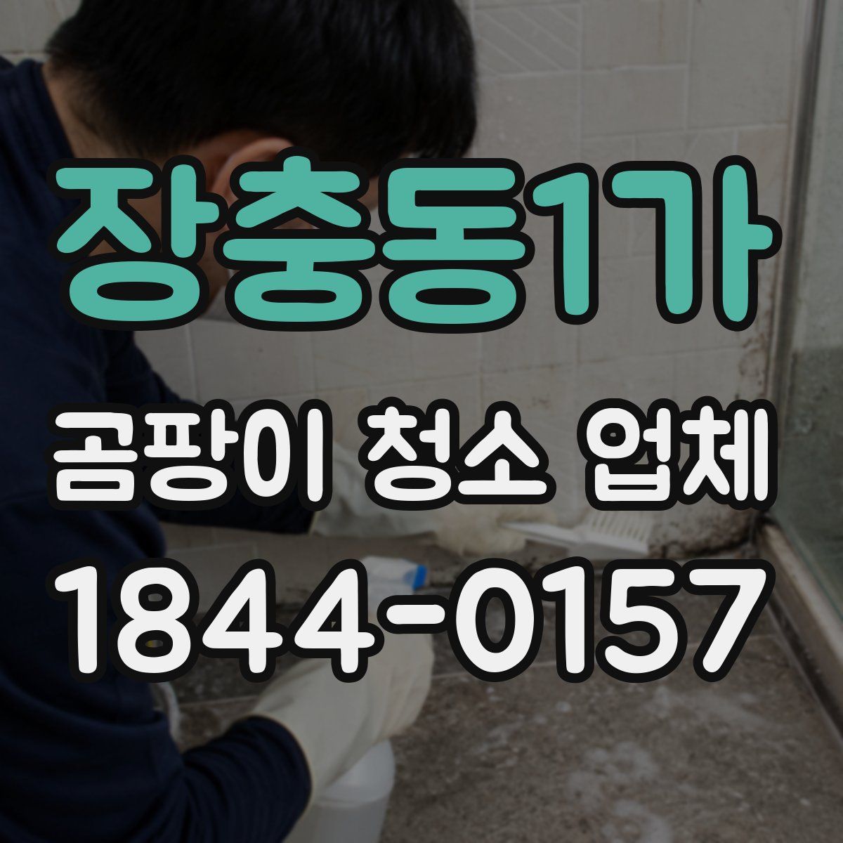 장충동1가 곰팡이 청소 업체