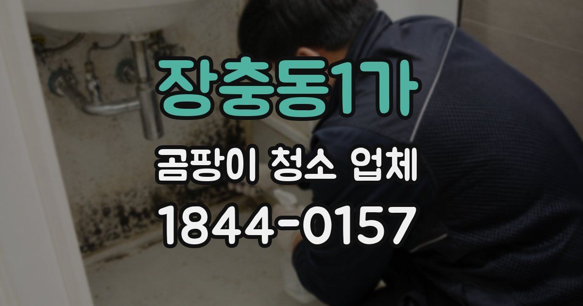 장충동1가 곰팡이 청소 업체