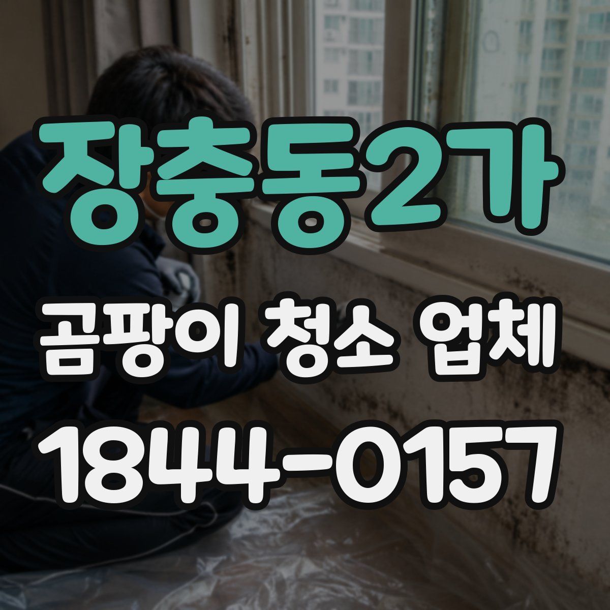 장충동2가 곰팡이 청소 업체
