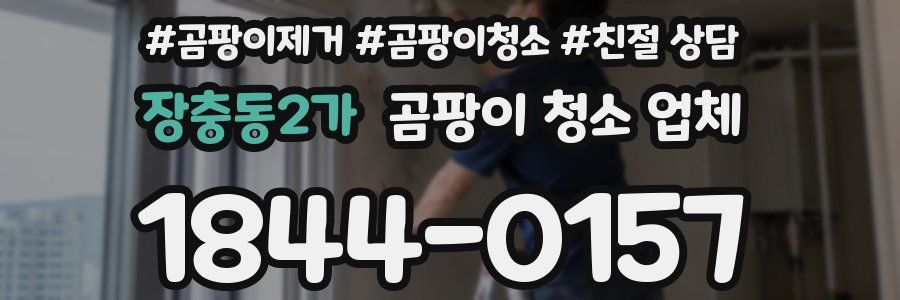 장충동2가 곰팡이 청소 업체