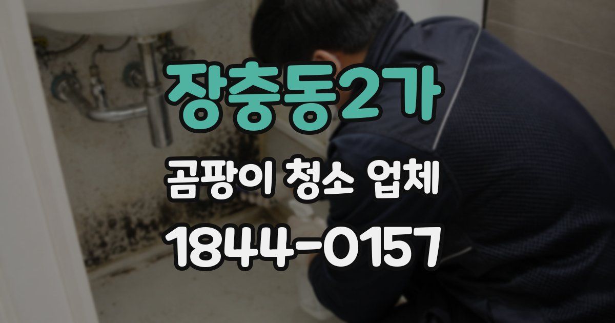 장충동2가 곰팡이 청소 업체