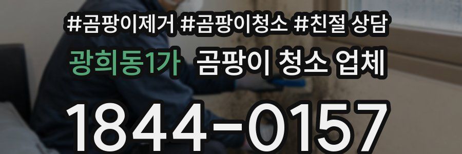 광희동1가 곰팡이 청소 업체