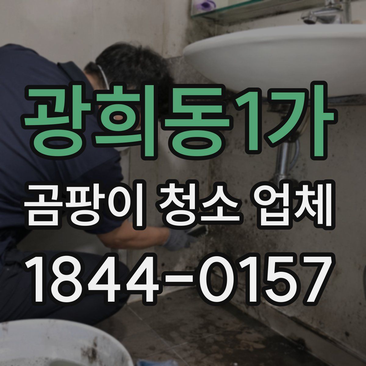 광희동1가 곰팡이 청소 업체