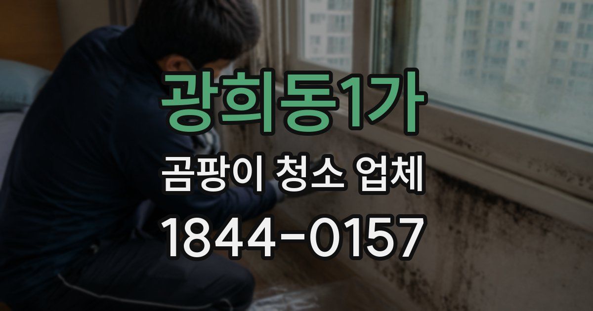 광희동1가 곰팡이 청소 업체