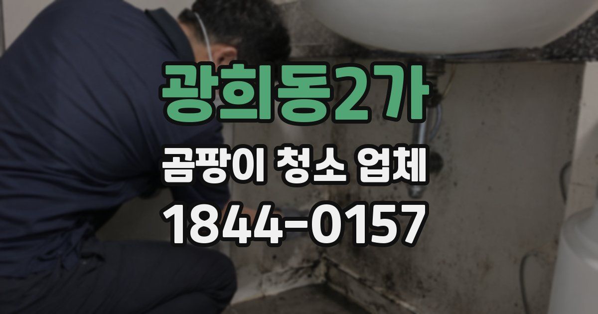광희동2가 곰팡이 청소 업체