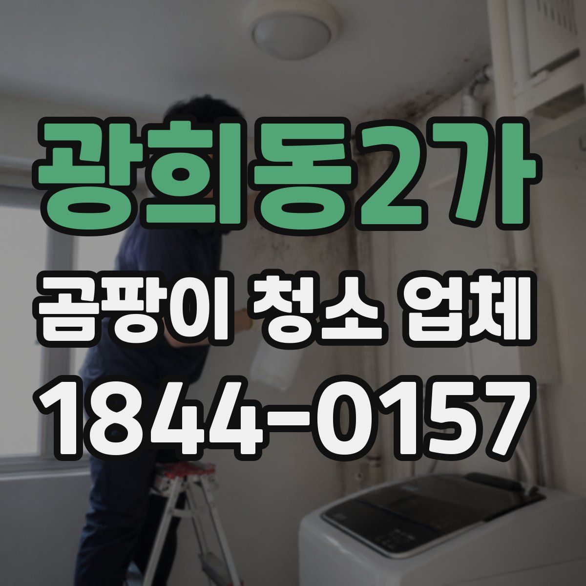 광희동2가 곰팡이 청소 업체