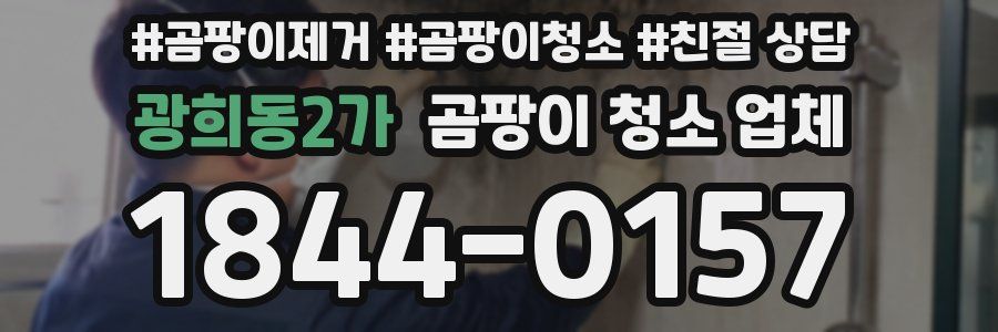 광희동2가 곰팡이 청소 업체