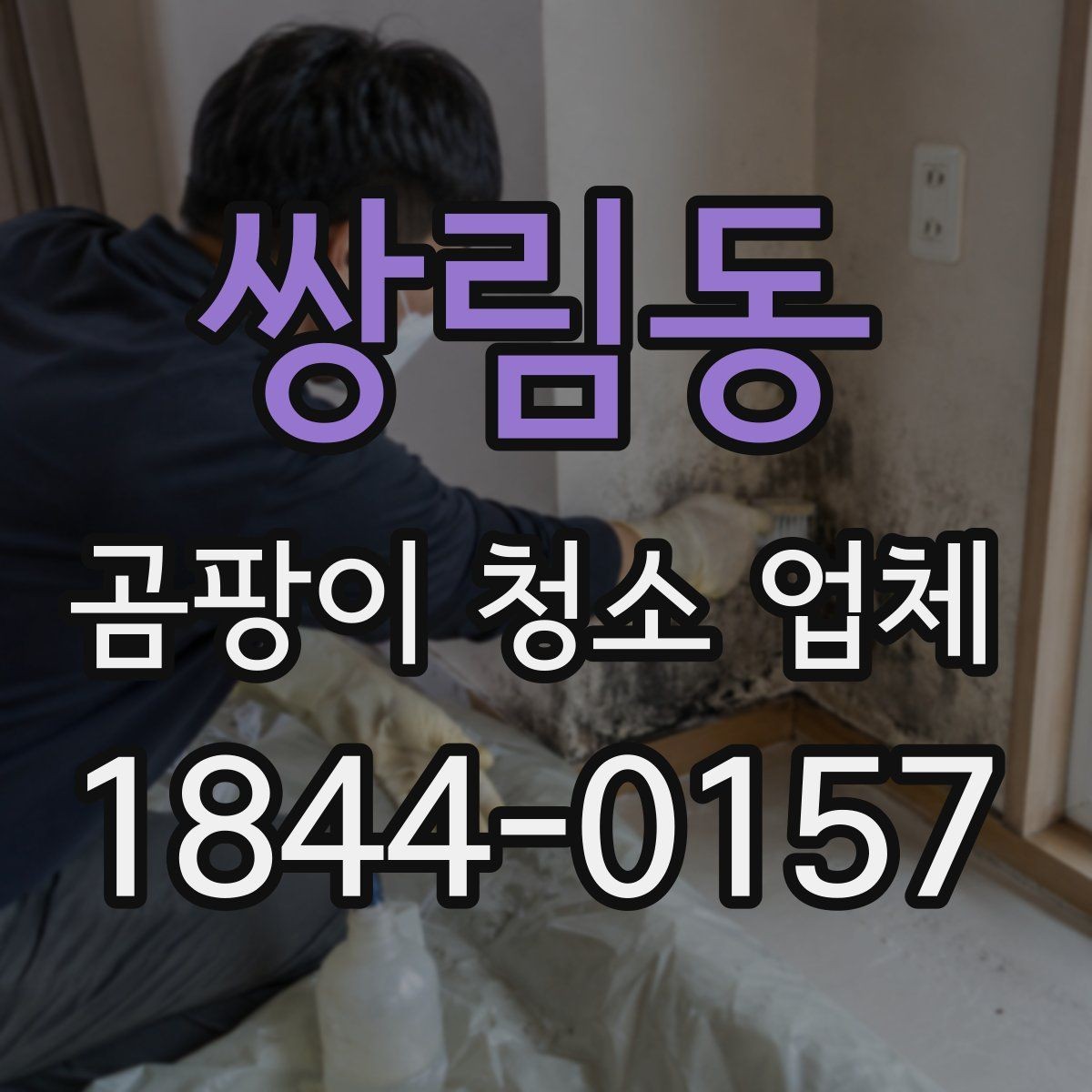 쌍림동 곰팡이 청소 업체 선택 시 후기와 현장 사진 보는 법