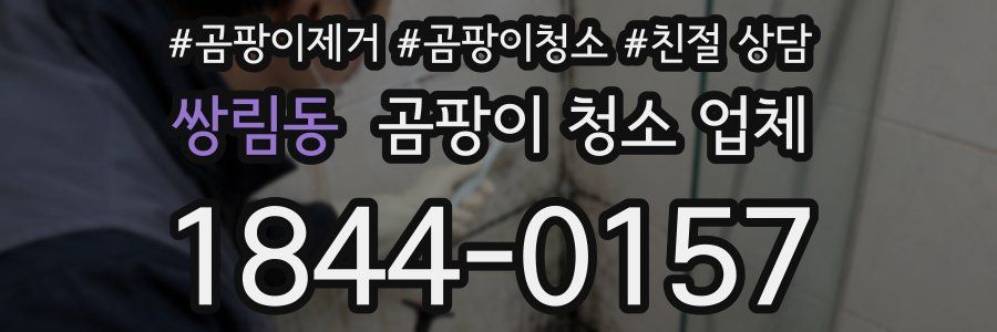 쌍림동 곰팡이 청소 업체