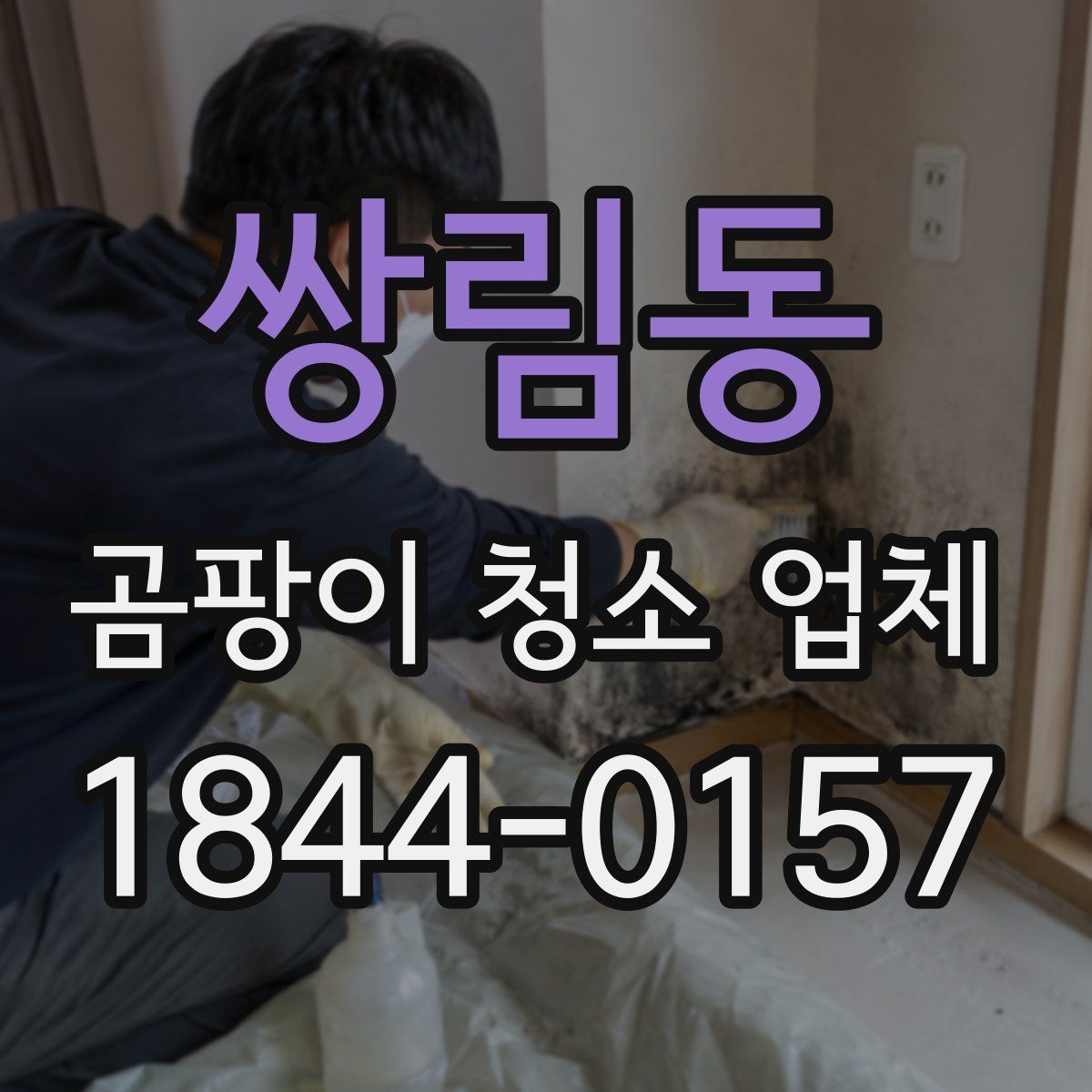 쌍림동 곰팡이 청소 업체