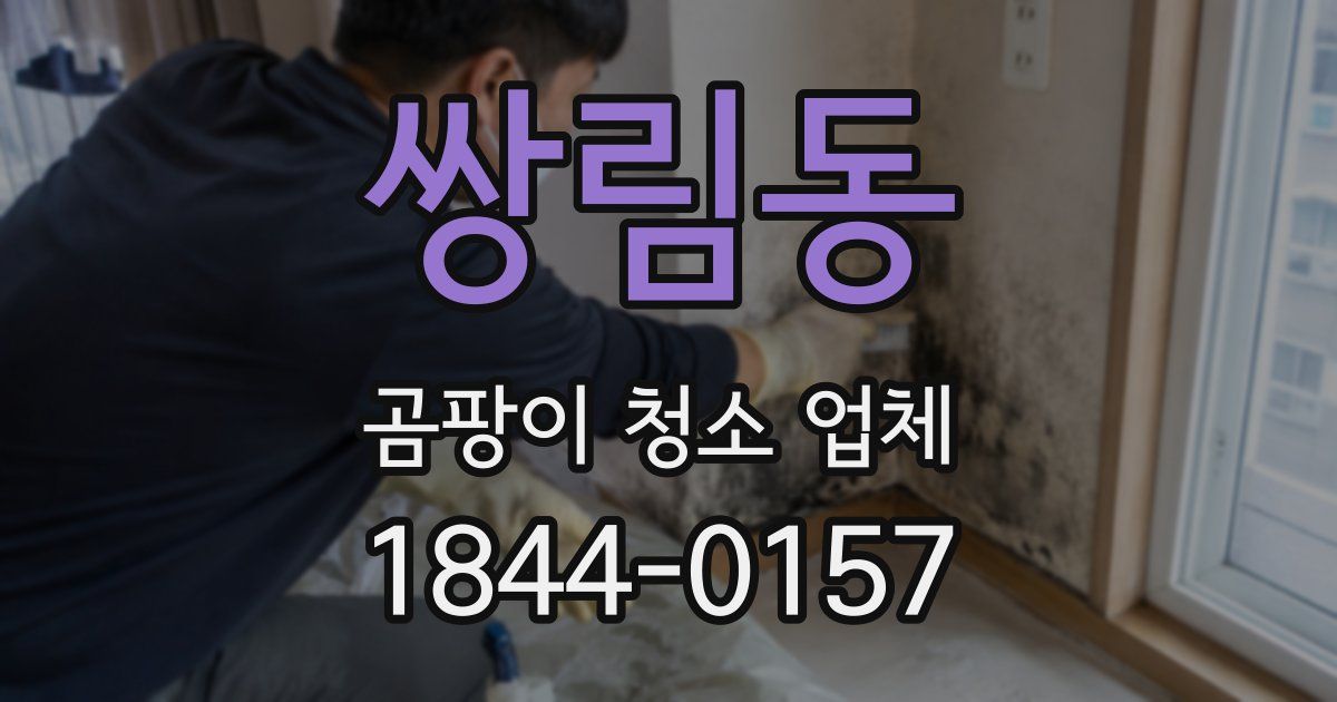 쌍림동 곰팡이 청소 업체