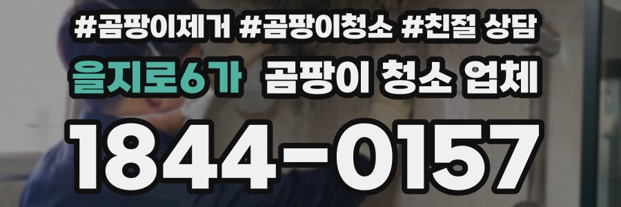 을지로6가 곰팡이 청소 업체