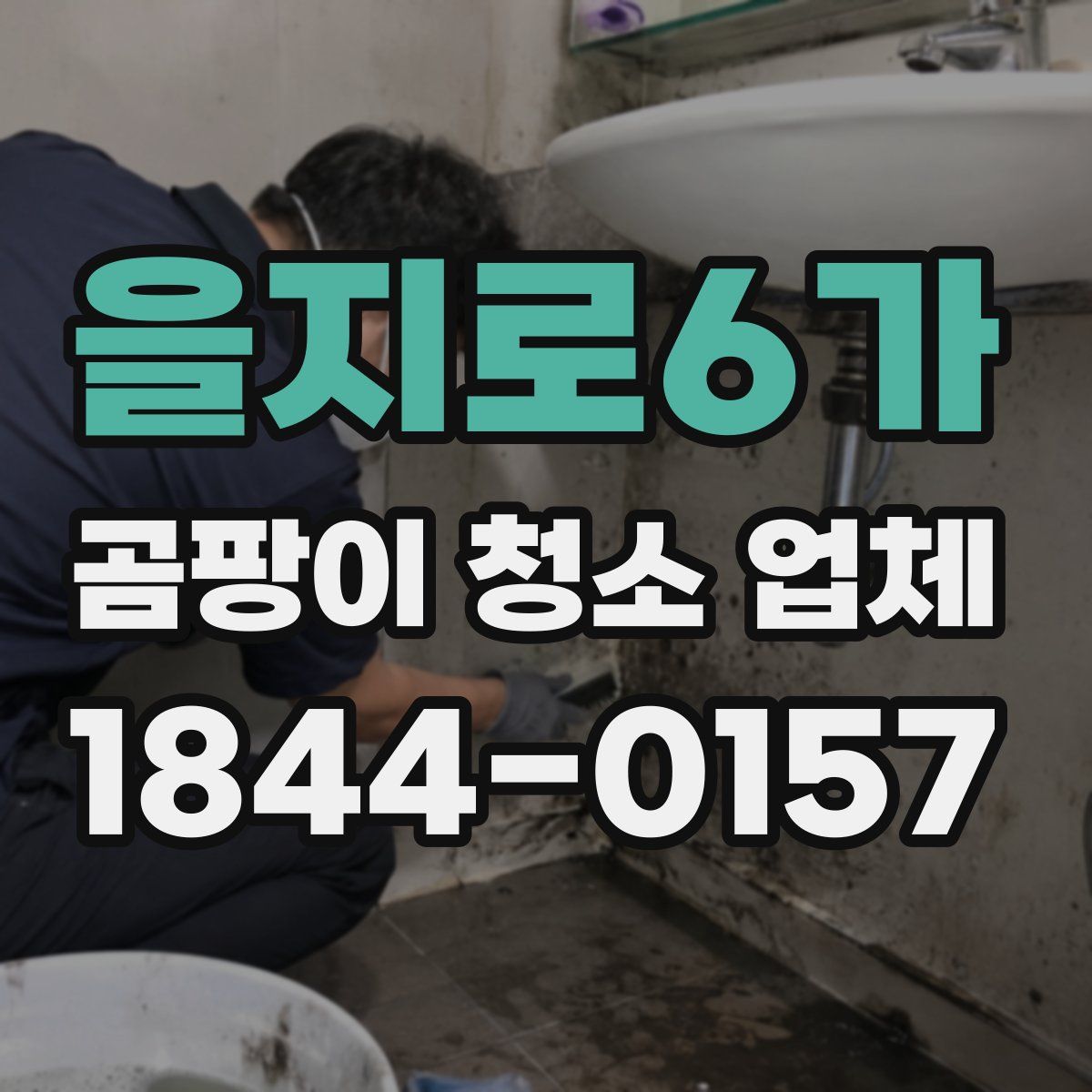 을지로6가 곰팡이 청소 업체