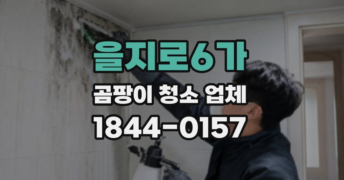 을지로6가 곰팡이 청소 업체