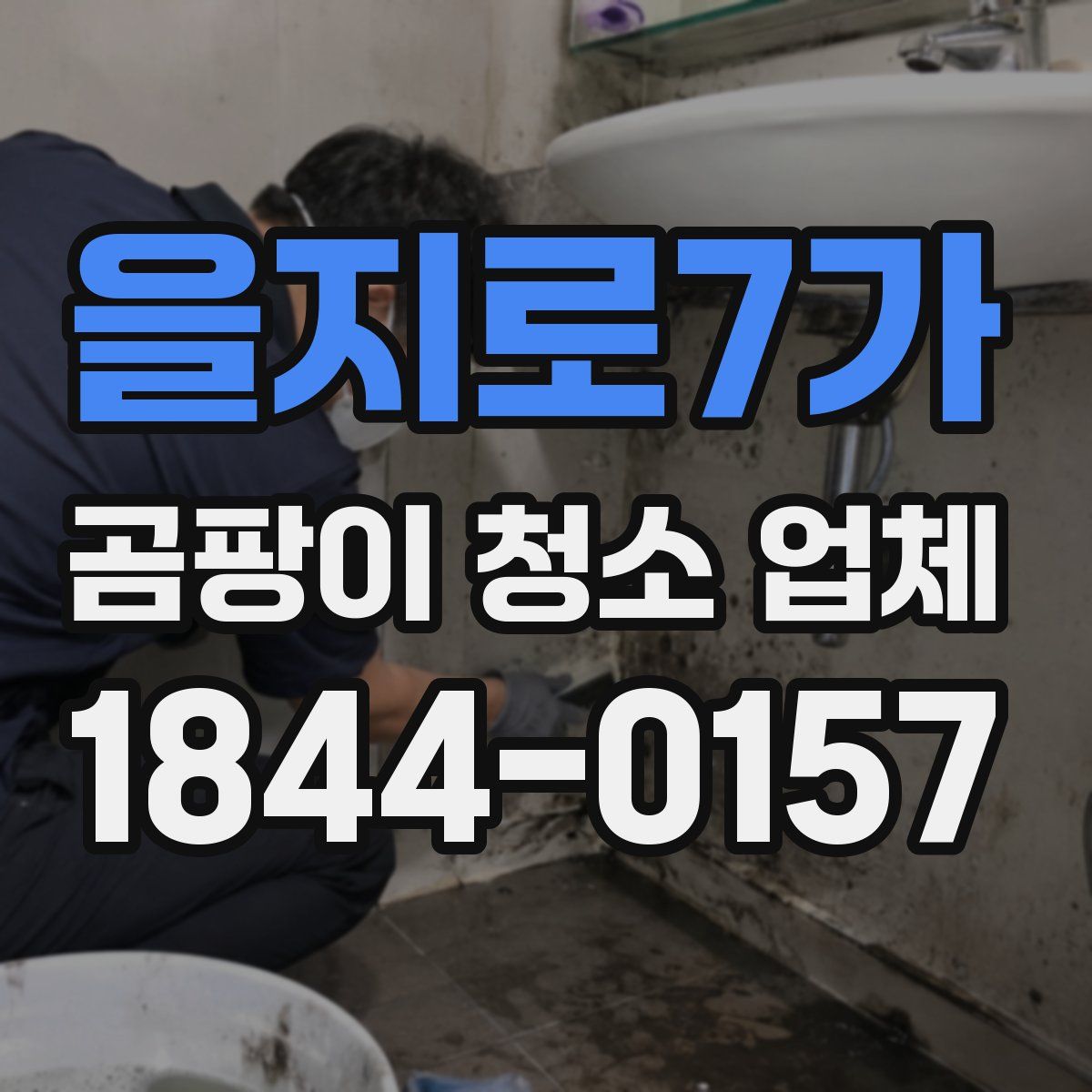 을지로7가 곰팡이 청소 업체