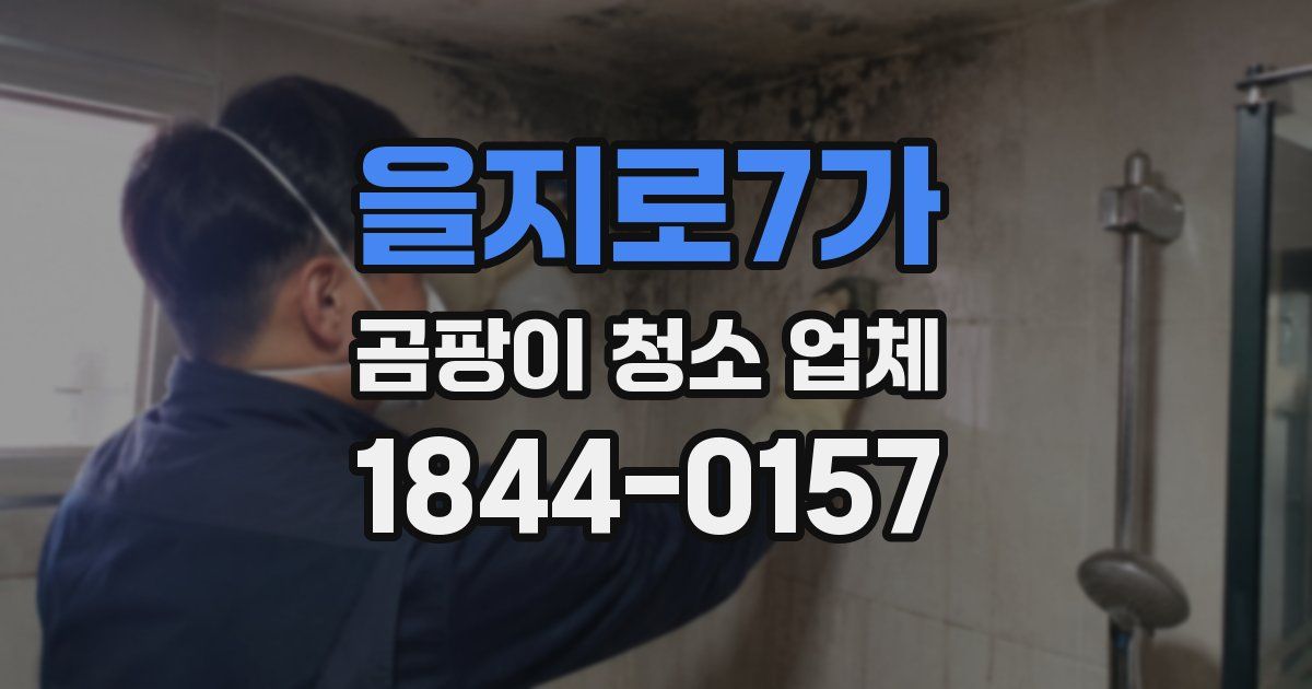 을지로7가 곰팡이 청소 업체