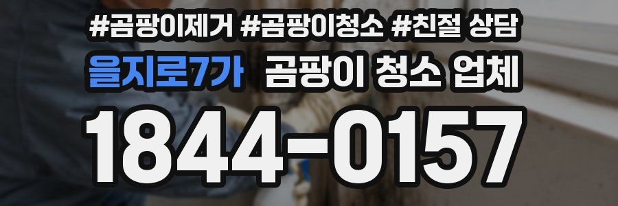 을지로7가 곰팡이 청소 업체