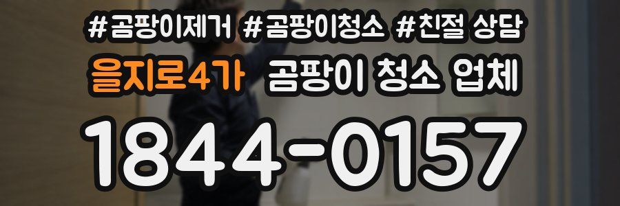 을지로4가 곰팡이 청소 업체