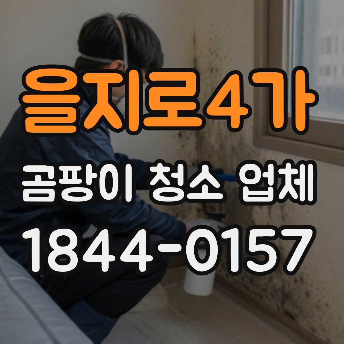 을지로4가 곰팡이 청소 업체