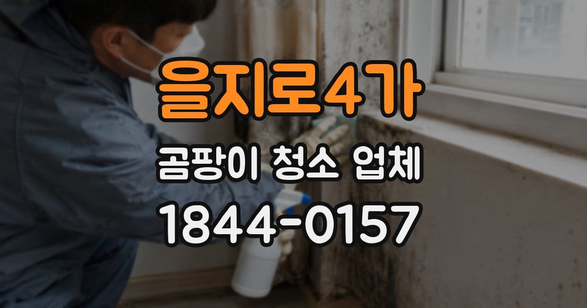 을지로4가 곰팡이 청소 업체