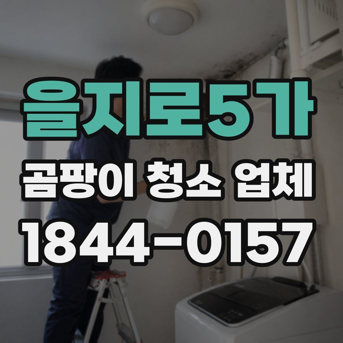 을지로5가 곰팡이 청소 업체 작업 대상이 되는 공간 정리