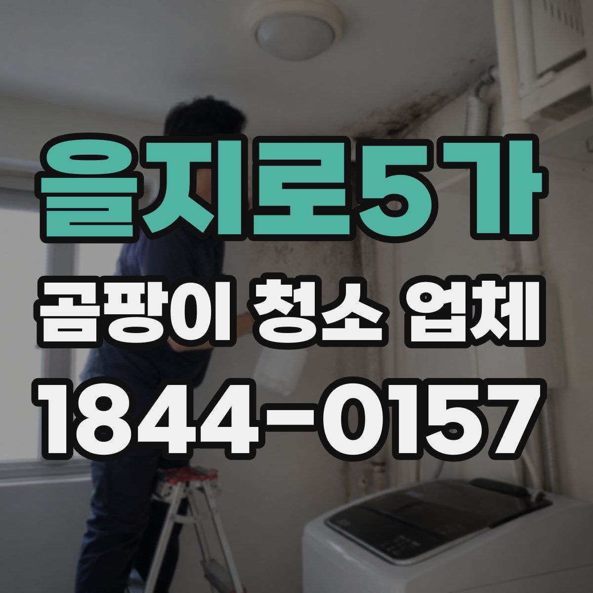 을지로5가 곰팡이 청소 업체