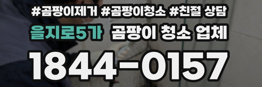 을지로5가 곰팡이 청소 업체