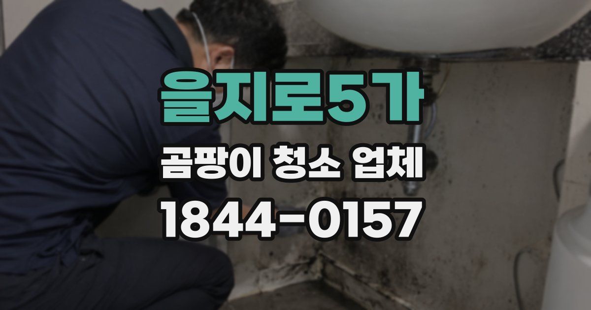 을지로5가 곰팡이 청소 업체