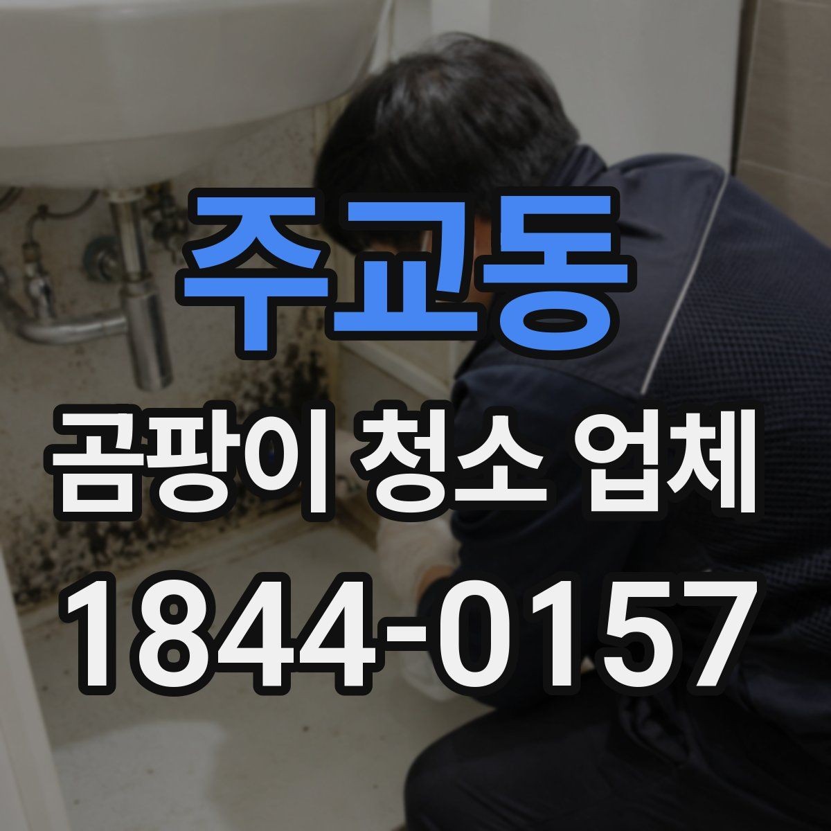 주교동 곰팡이 청소 업체 상담 시 자주 묻는 질문