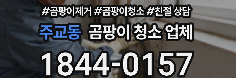 주교동 곰팡이 청소 업체