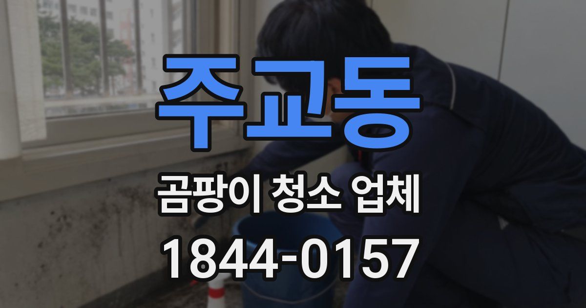 주교동 곰팡이 청소 업체