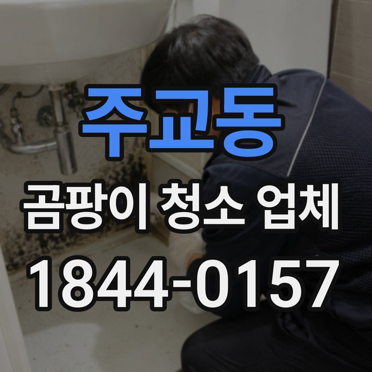 주교동 곰팡이 청소 업체