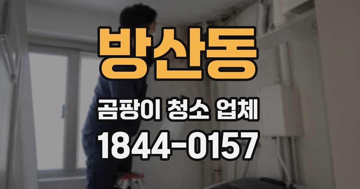 방산동 곰팡이 청소 업체