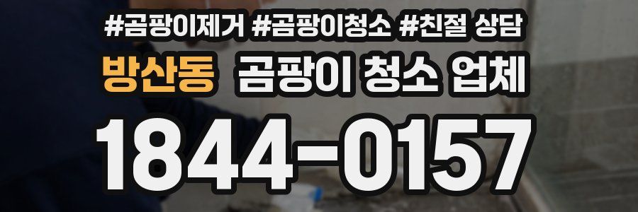 방산동 곰팡이 청소 업체