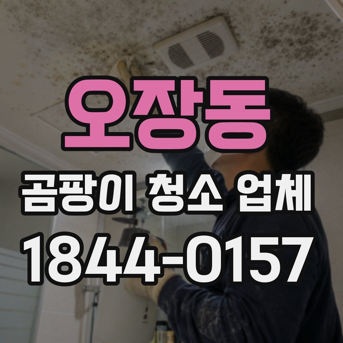 오장동 곰팡이 청소 업체
