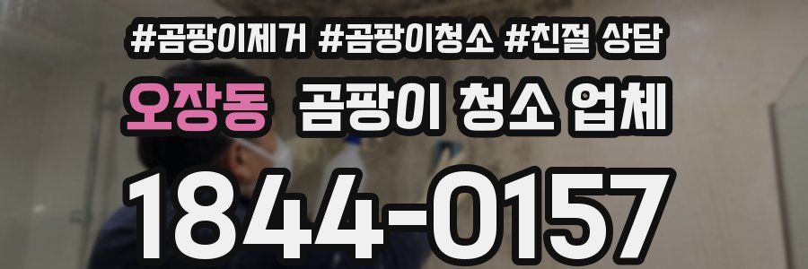 오장동 곰팡이 청소 업체
