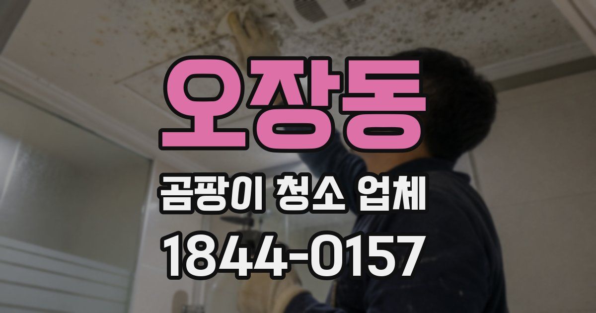 오장동 곰팡이 청소 업체