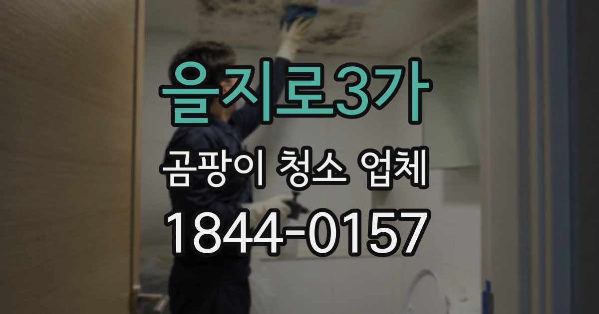 을지로3가 곰팡이 청소 업체