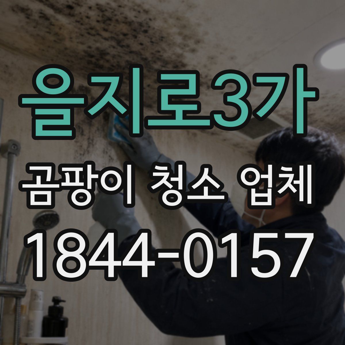 을지로3가 곰팡이 청소 업체