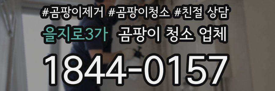 을지로3가 곰팡이 청소 업체
