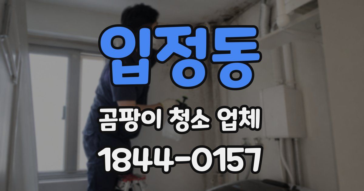 입정동 곰팡이 청소 업체
