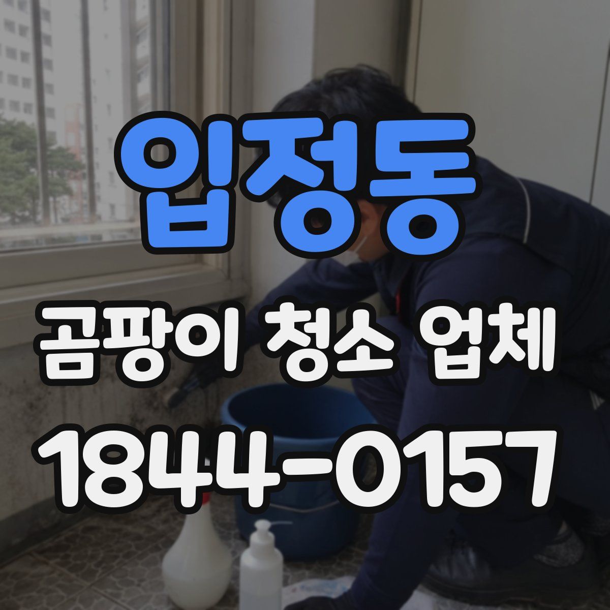입정동 곰팡이 청소 업체
